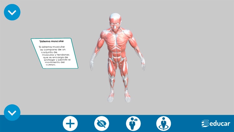 Mi Cuerpo Humano en 3D screenshot-5