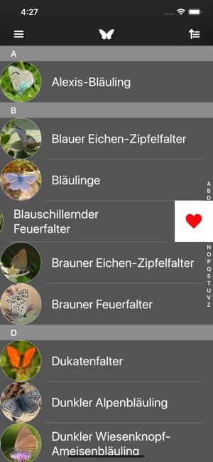 Schmetterlinge 2.0(圖5)-速報App