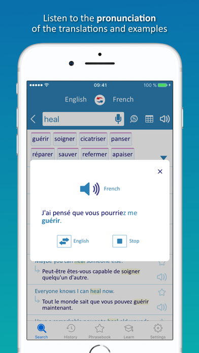 Reverso translation dictionary Screenshot 3