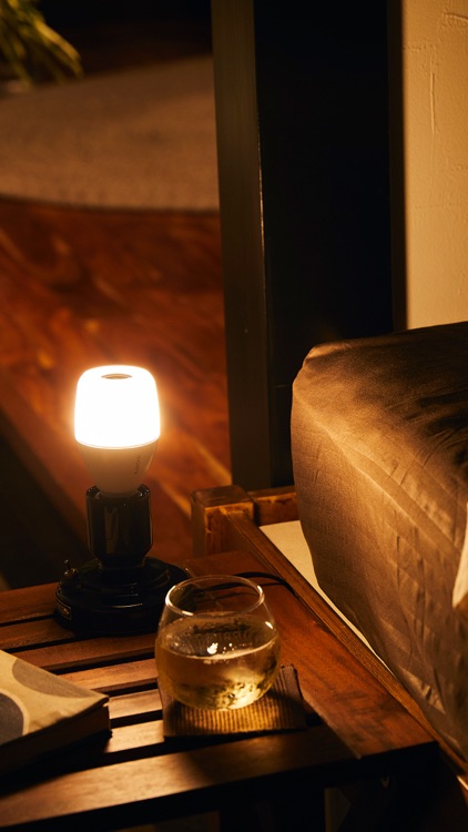 LED Bulb Speaker Application