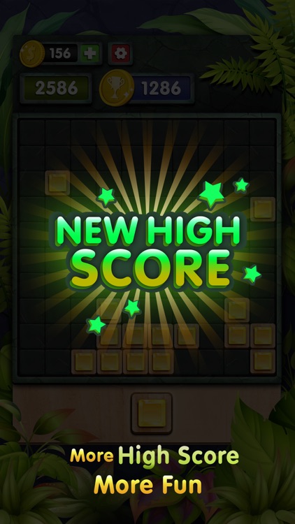 10s Amazing! Wood Block Puzzle screenshot-3