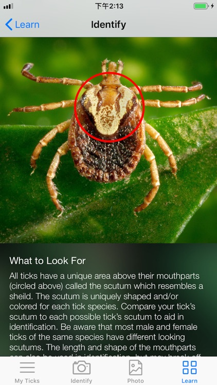 Tick bug guide screenshot-5