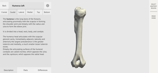 Dog Skeleton 3D Atlas(圖3)-速報App