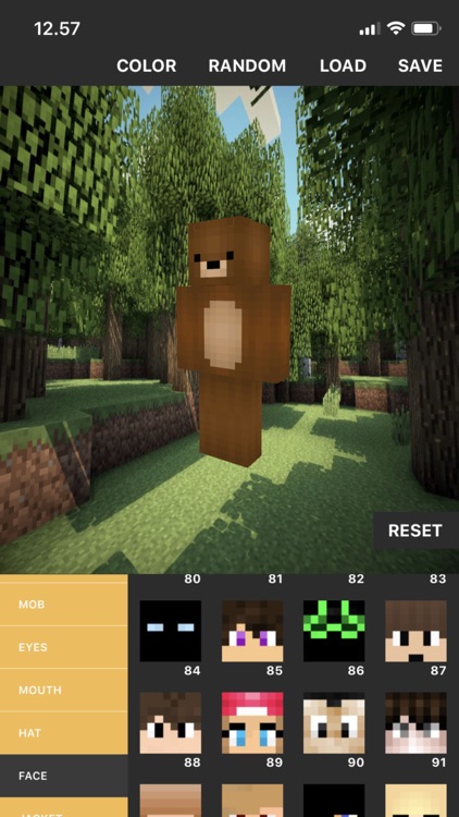 Custom Skin Creator screenshot-5