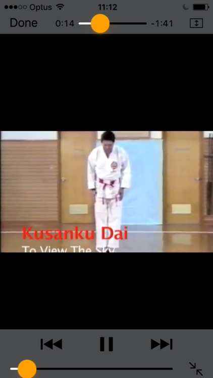 Shorin-Ryu Shorinkan Pro screenshot-6