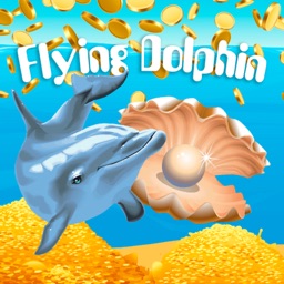 Flying dolphin