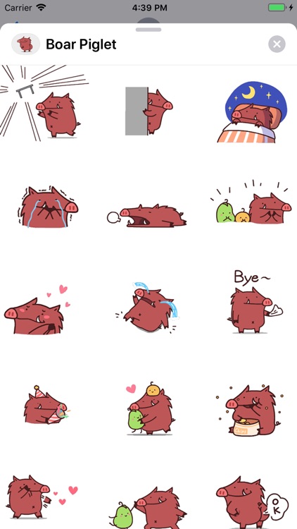 Cute Boar Piglet Animated