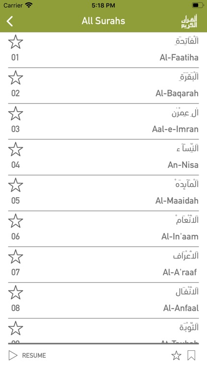 Quraan-E-Karim (13 Lines)