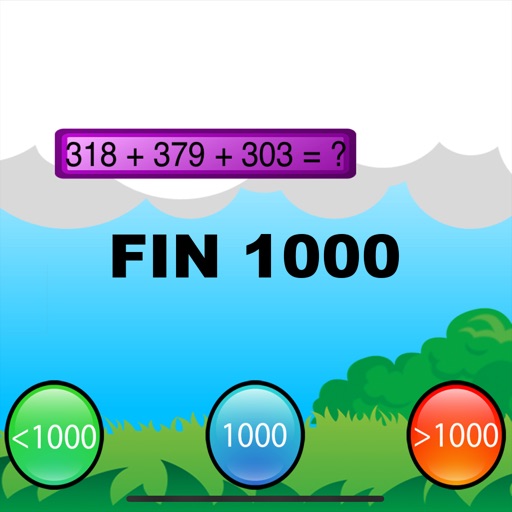 Fin 1000