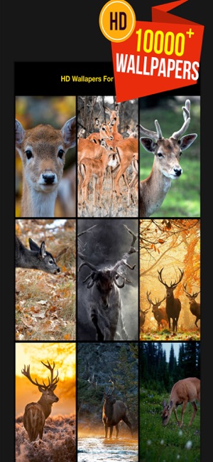 HD Wallpapers for Deer Hunting(圖1)-速報App