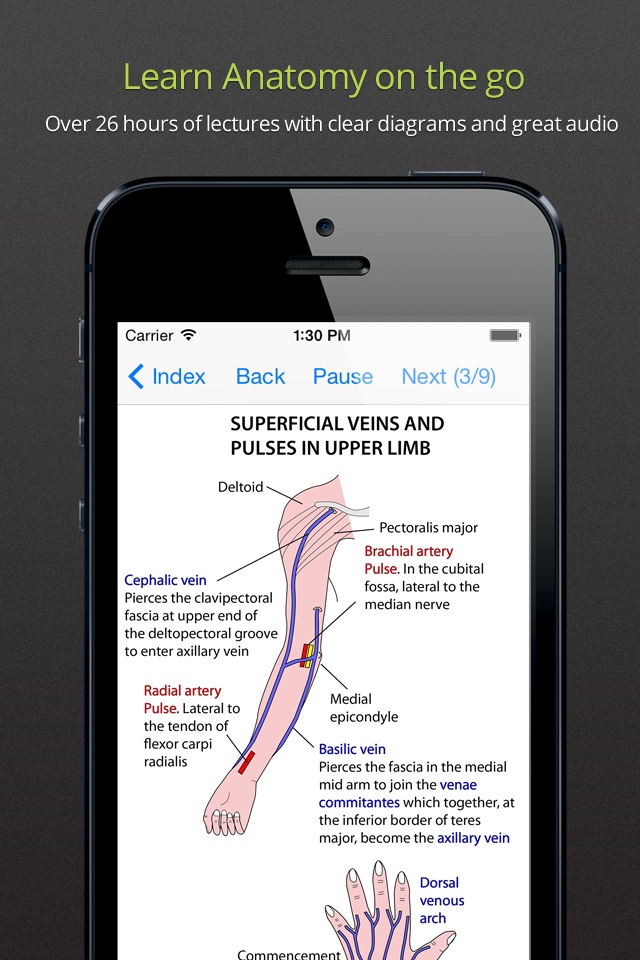 Instant Anatomy Anthology screenshot 4