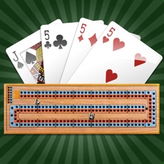 Activities of Cribbage Pro
