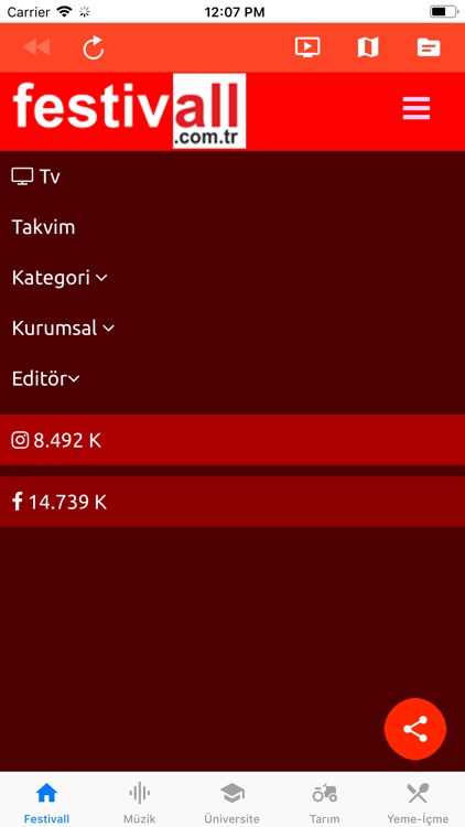 Festivall screenshot-3