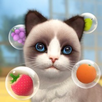 Triple Match - Cat Tiles 3D