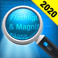 Magnifying Glass + Flashlight Reviews