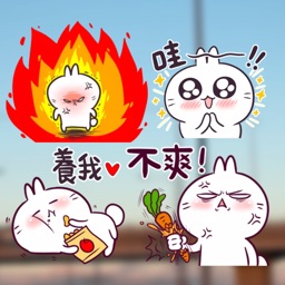 兔子爱 Stickers