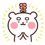 Relaxed Bear Marokkuma