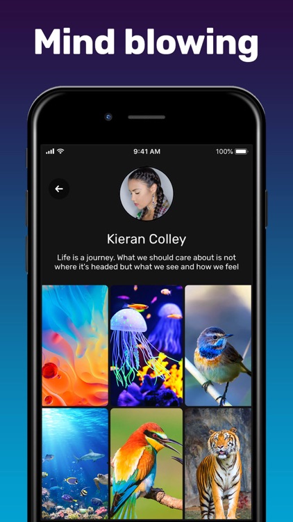 Live Wallpaper & Wallpapers HD screenshot-7