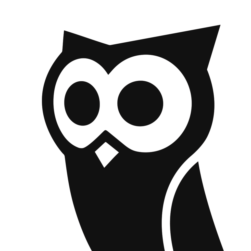 Owlcam Video Security Dash Cam App Icon