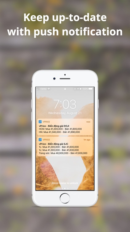 vPrice - Giá vàng, tỷ giá screenshot-4