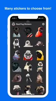 real pug stickers iphone screenshot 1