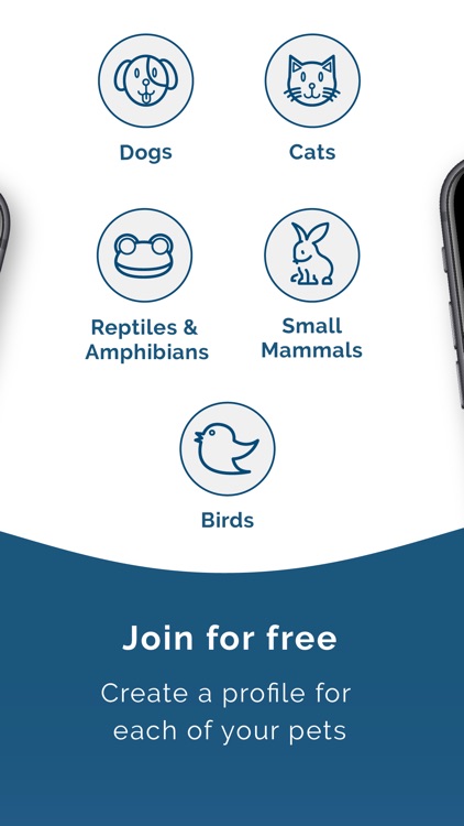 EdgyPet: Pet Social Network