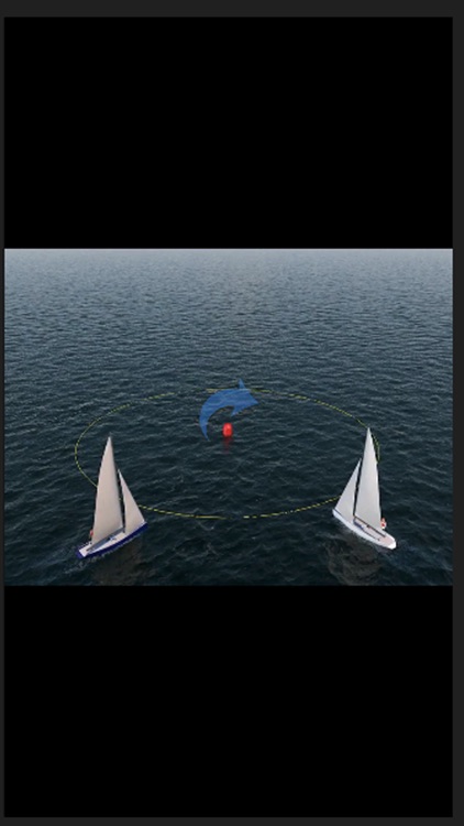 Corso in 3d - Regole di Regata screenshot-3