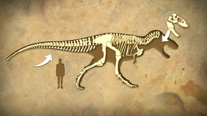 How to cancel & delete Dinosaur Fossils - History for kids from iphone & ipad 3