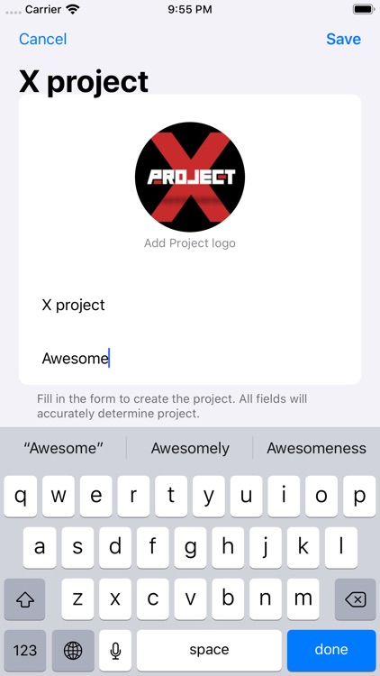 PM Issue Log screenshot-7