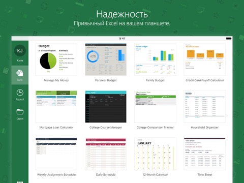 Скриншот из Microsoft Excel