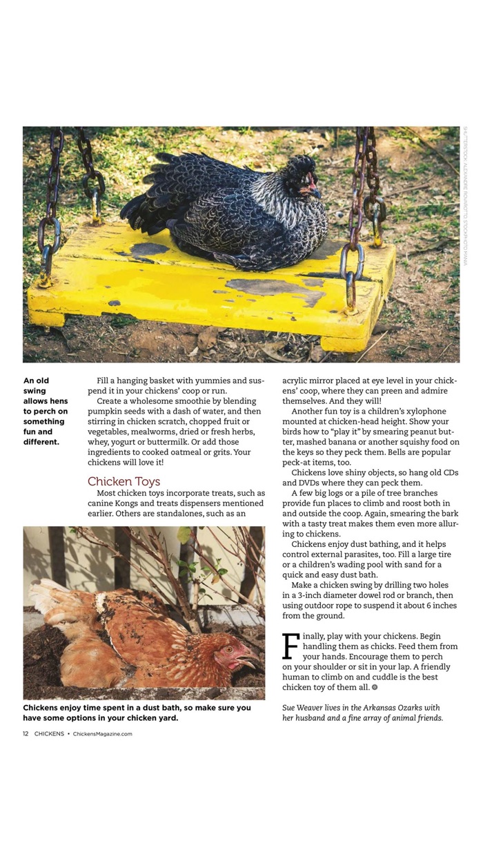 Chickens Magazine