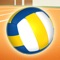 Play indoor volleyball and learn player positions, team rotations, attack and defense strategies