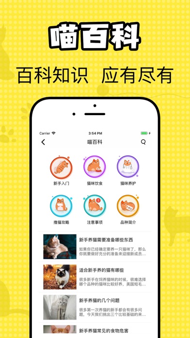 猫咪翻译官-猫与人的交流器 screenshot 4