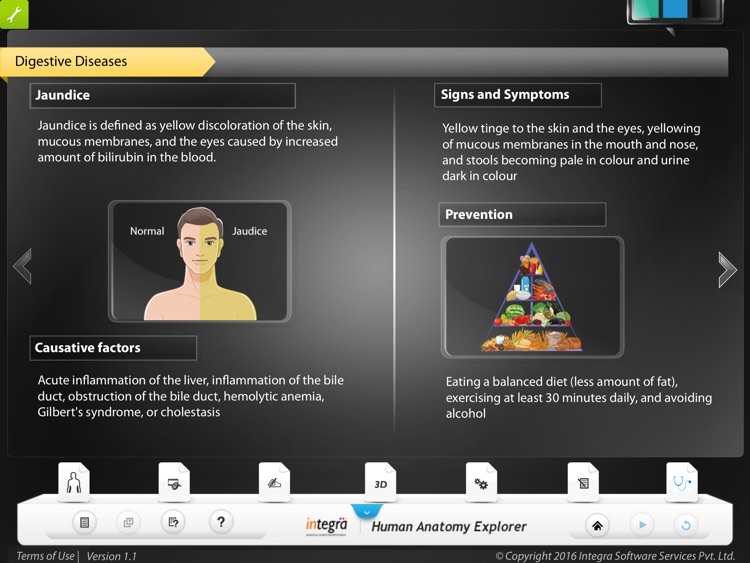 Human Anatomy - Digestive screenshot-3