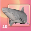 Animals 3D Augmented Reality