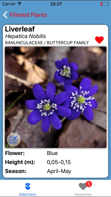 Flower Field screenshot-4