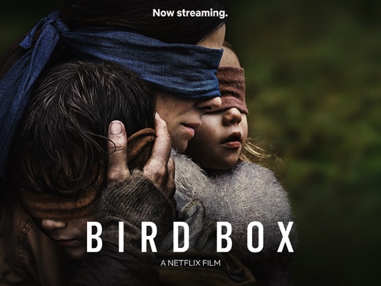 iPad Image of Netflix