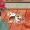 Cool Little Corgi is a sticker app