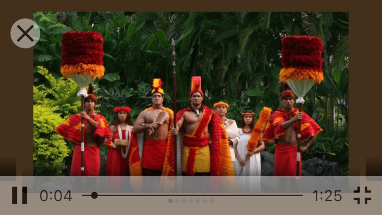 Hawaii Story - Visual History screenshot-3