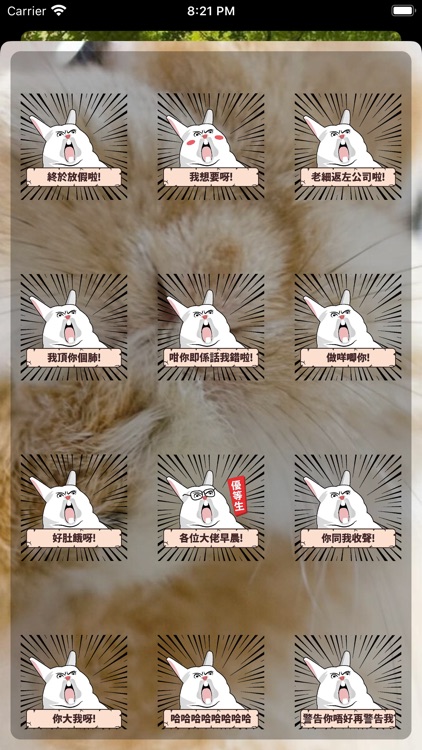 前卫凶猛兔兔