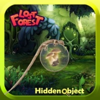 Lost Forest  Hidden Objects