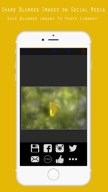 Blur Background Photo Editor