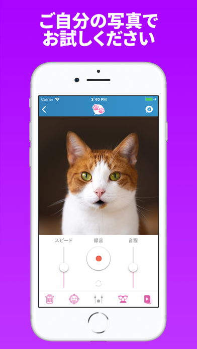 おしゃべりペット 1 Iphoneアプリ Applion
