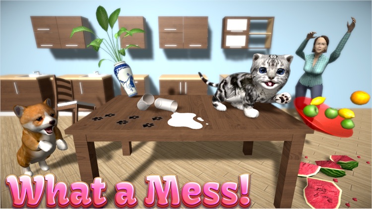 Cat Simulator: Kittens 2019 screenshot-3