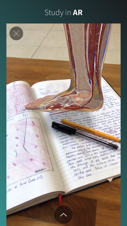 Complete Anatomy Platform '20 screenshot-4