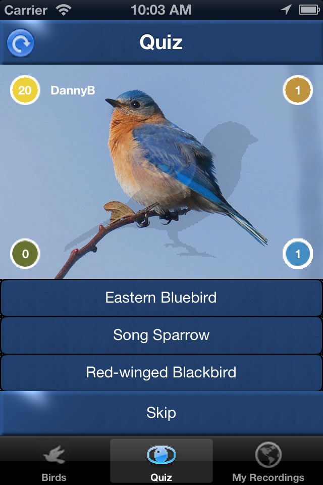 Bird Song Id Canada birdsongs screenshot 4