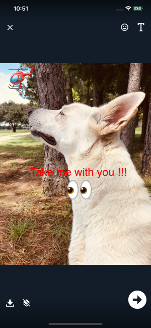 White German Shepherd(圖5)-速報App