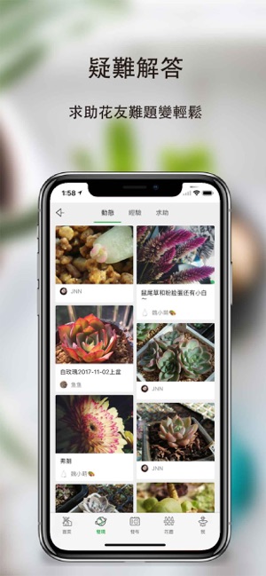 綠手指-養花識花多肉植物識別神器(圖4)-速報App
