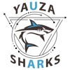 Ледовый Yauza Sharks