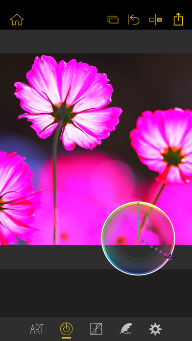 Olympus Image Palette screenshot 3